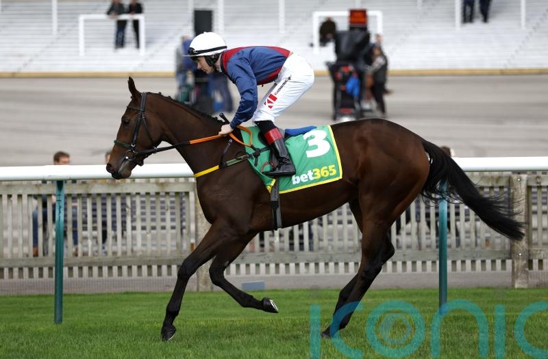 Meade mulling next move with Caught U Looking