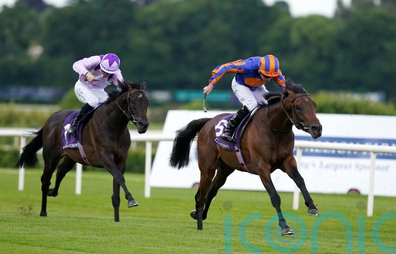 Portland in line for Royal Ascot after game Leopardstown win
