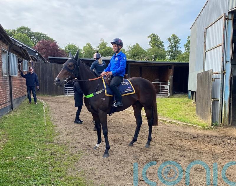 Henry Dwyer savouring Royal Ascot experience with Asfoora