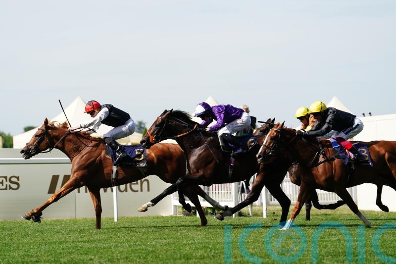 Kyprios tops 10 contenders for Gold Cup crown