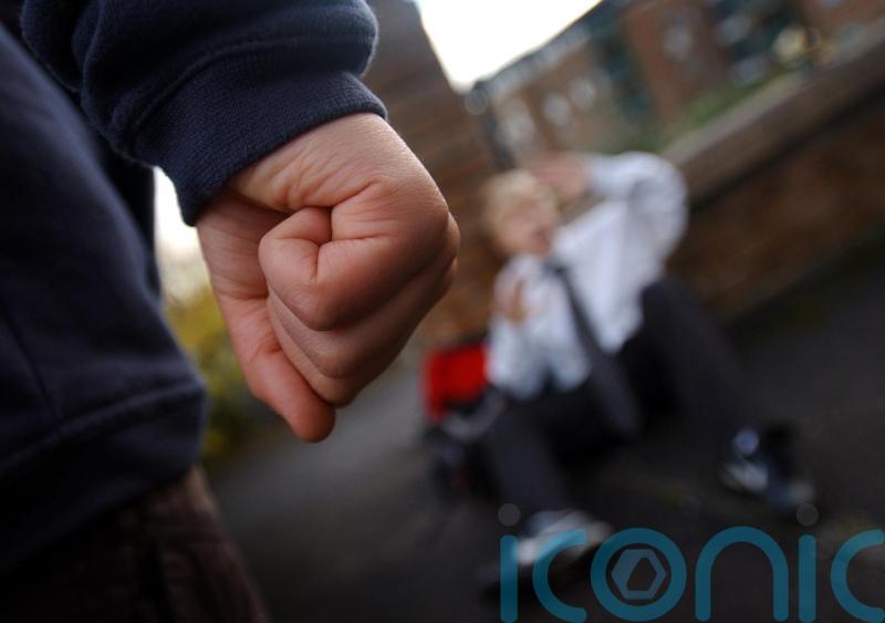 Education Minister unveils new plans to tackle bullying in schools