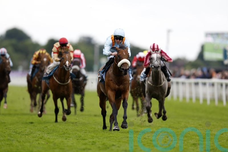 Railway Stakes mission for The Strikin Viking this weekend