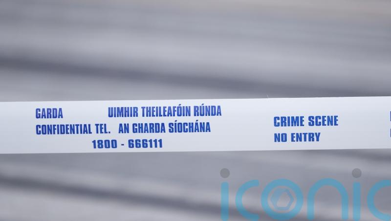 Woman dies in traffic accident in Co Carlow