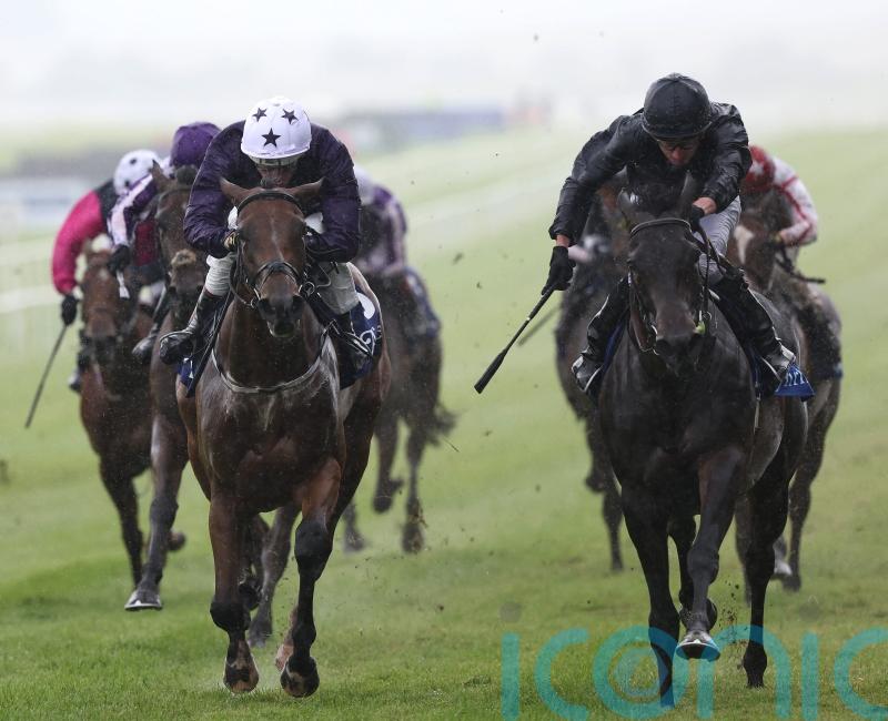 Truly Enchanting bounces back for brave Airlie triumph