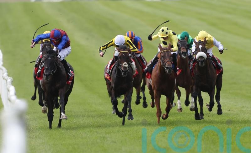 Fanshawe favouring drop in trip for gallant Ambiente Friendly