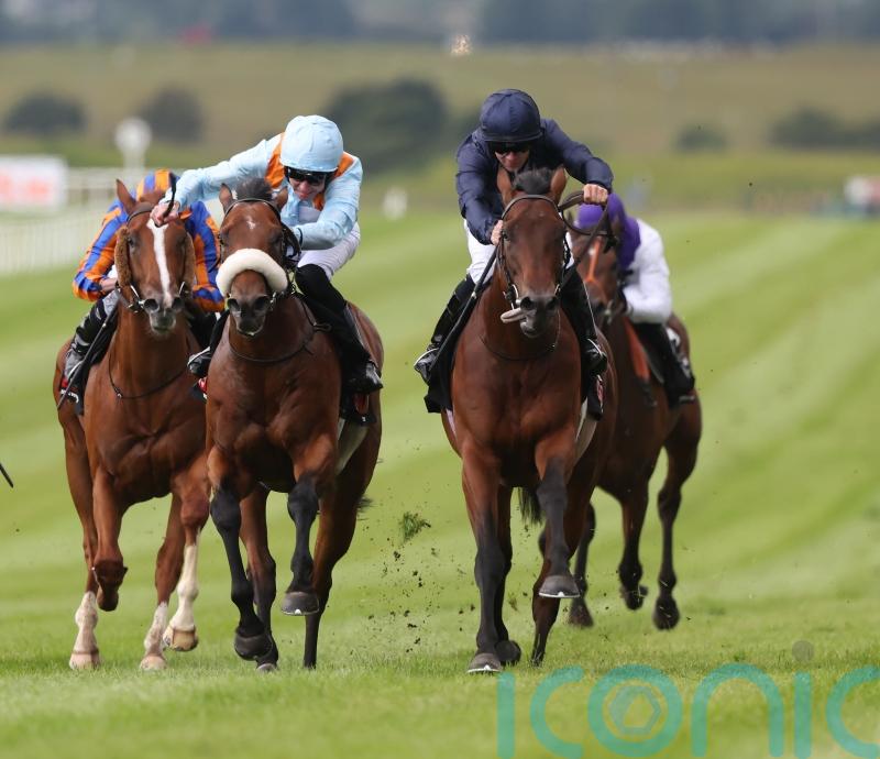 Middleham could roll Group One dice with The Strikin Viking