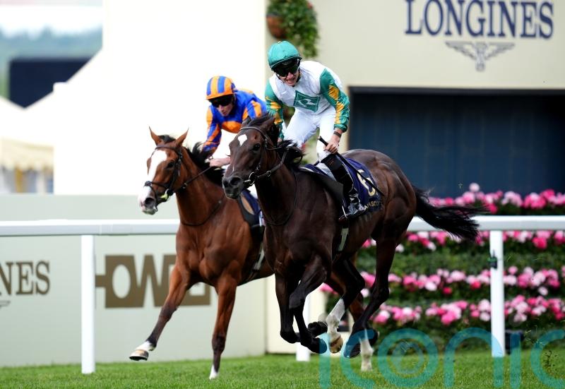 Porta Fortuna and Running Lion on course to lock horns in the Falmouth