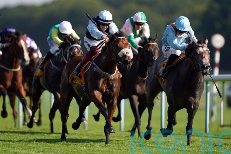 Group One engagement next for Shouldvebeenaring