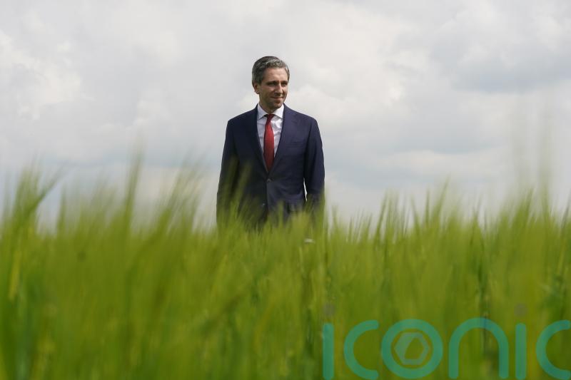 Latest climate data &lsquo;smashes myth you can&rsquo;t grow economy and reduce emissions&rsquo;