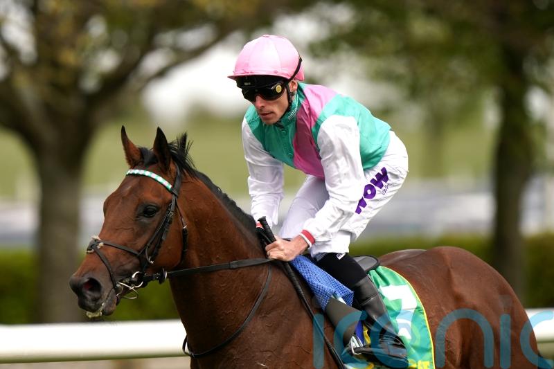 Lead Artist aiming to take starring role at Newmarket