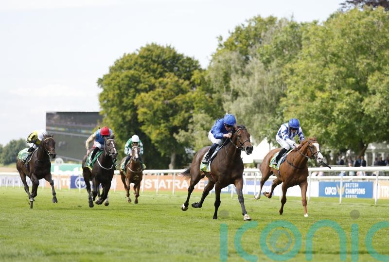 Seagulls could swoop on Solario prize