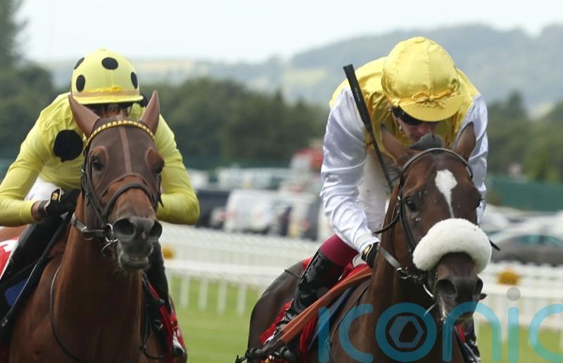 Irish Derby runner-up Sunway primed for King George challenge