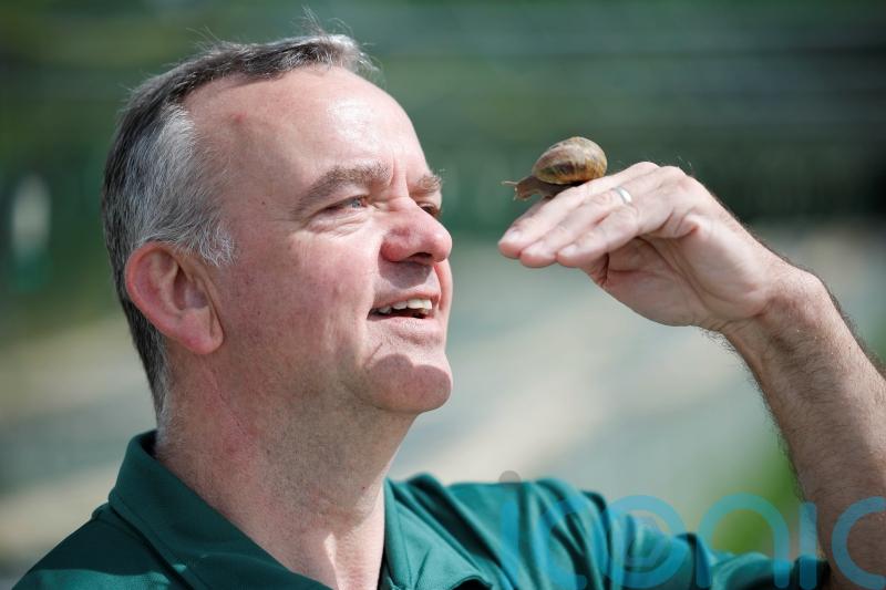 Monaghan farmer plays matchmaker with &lsquo;lonely hearts&rsquo; snails