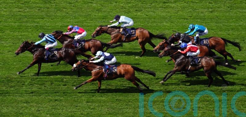 Top sprinters set to clash once more at Goodwood on Friday