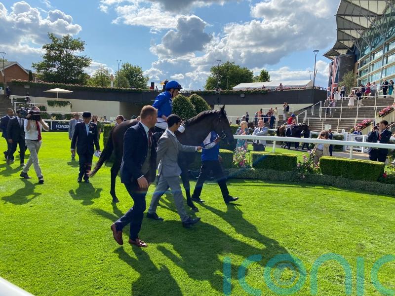 Appleby thinking of Breeders&rsquo; Cup with Al Qudra after Ascot strike