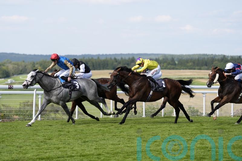 Hamad Al Jehani celebrates landmark Wathnan winner