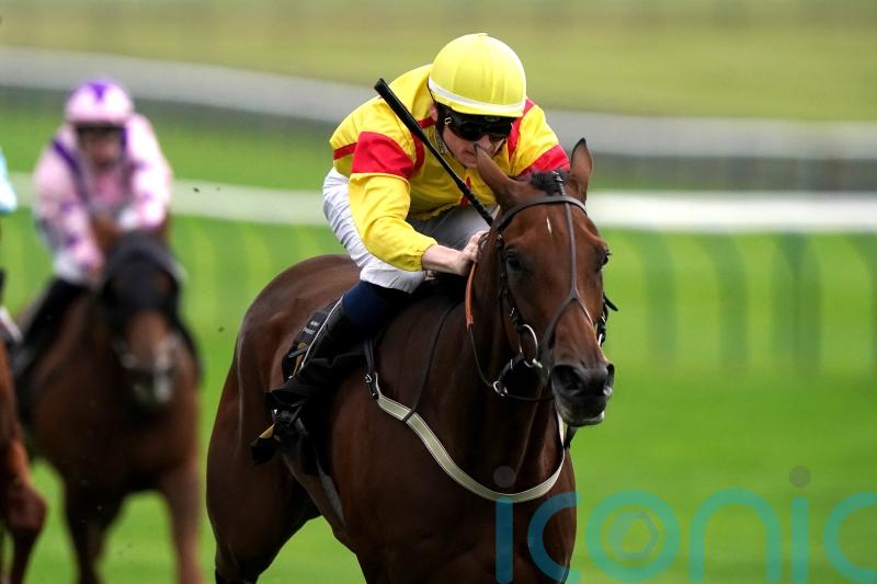 Divina Grace provides Guest with welcome boost at Newmarket