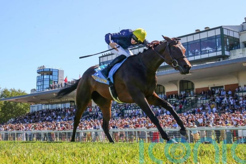 Deauville double to tee-up Mqse De Sevigne Arc swansong