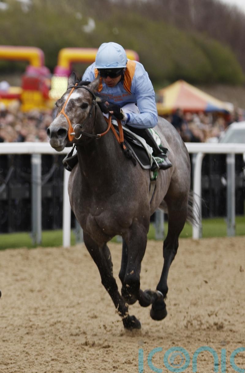 Haydock now the top target for Shouldvebeenaring