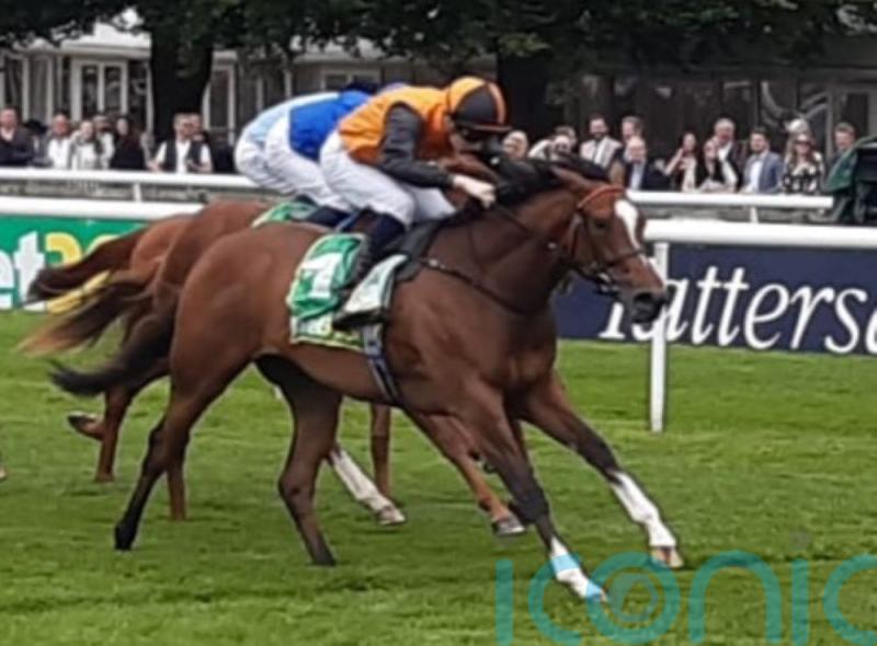 Crisford pondering adding Arabian Dusk to Prix Morny field