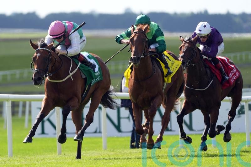Babouche foils Whistlejacket to take Phoenix Stakes and stay unbeaten
