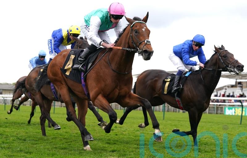 Kikkuli could look to get back on track in Hungerford