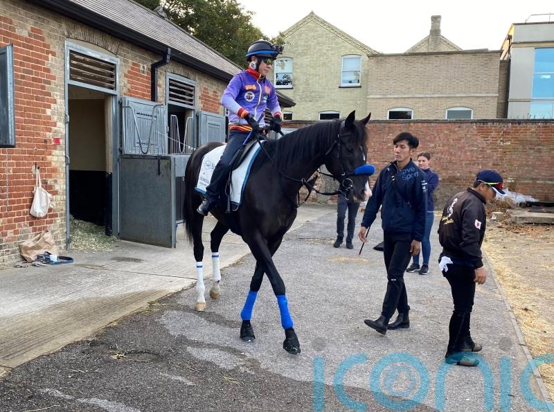 Japanese ace Durezza all set for City Of Troy clash at York