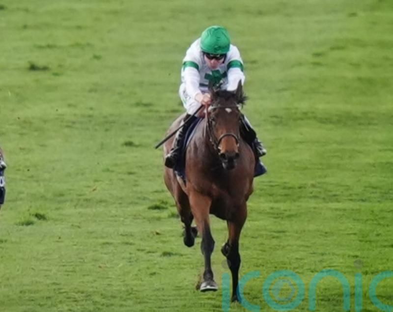 Menuisier has Sandown on the radar for Tamfana