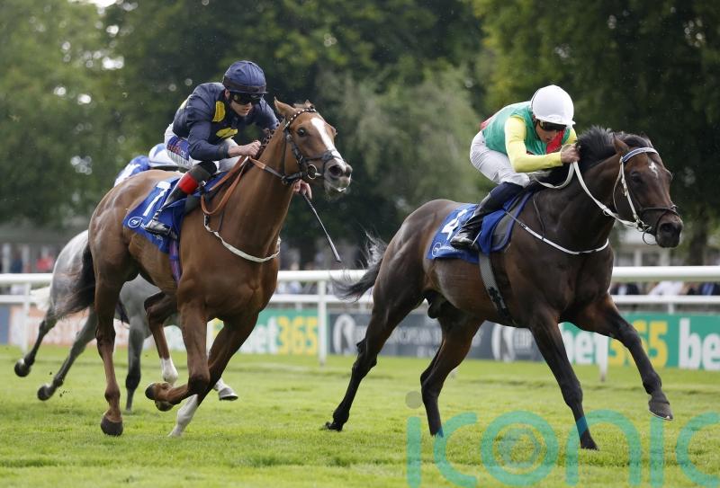 Mill Stream to be saved for Ascot and Sha Tin targets