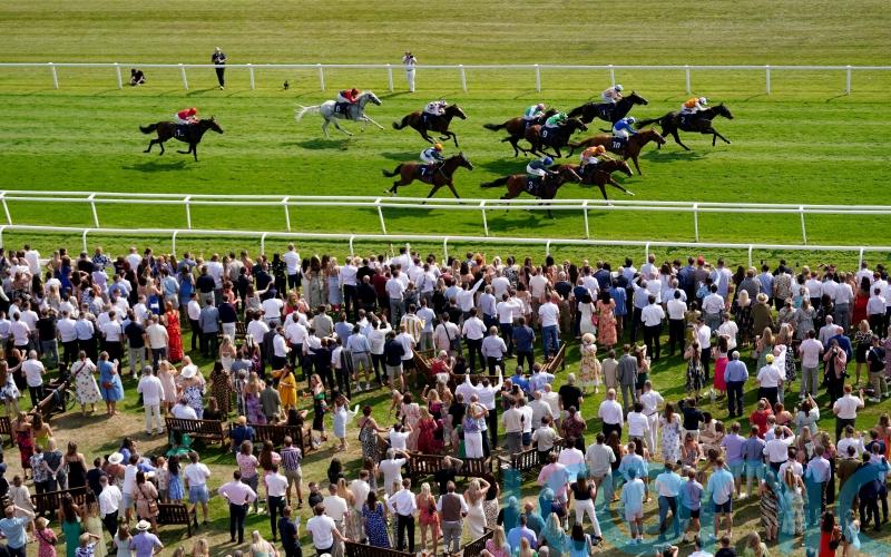 Lethal Levi Ayr Gold Cup bound after game Newbury win
