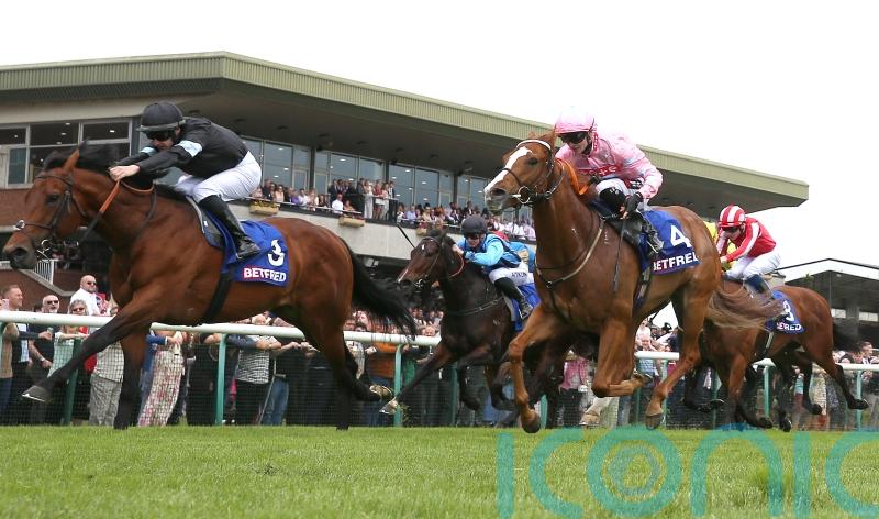 Kerdos camp turn sights to Curragh target