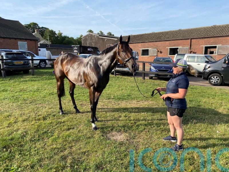 Asfoora&rsquo;s faithful groom dreaming of more UK glory