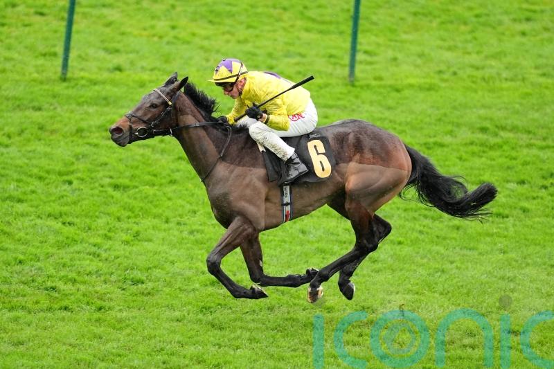 Galtres gold in Sea&rsquo;s sights at York