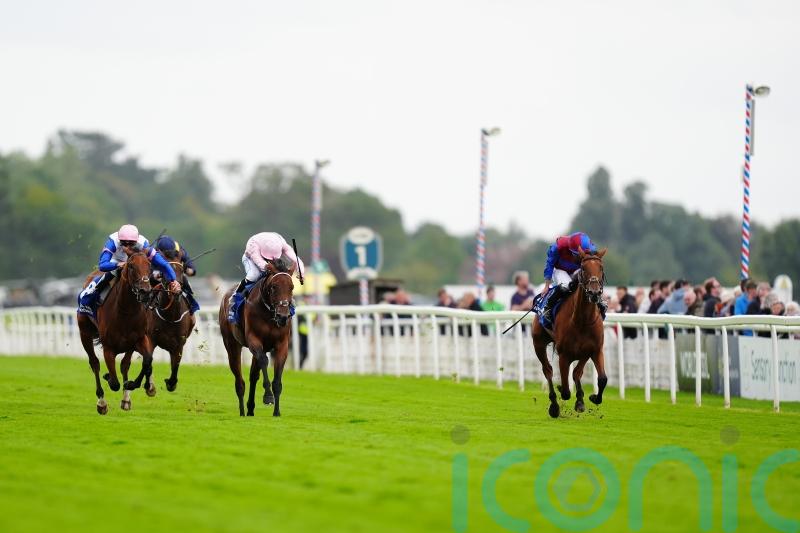 Content collects Yorkshire Oaks glory for O&rsquo;Brien and Moore