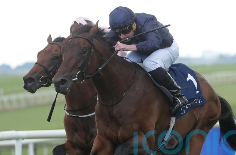 Henri Matisse exhibits star quality at the Curragh