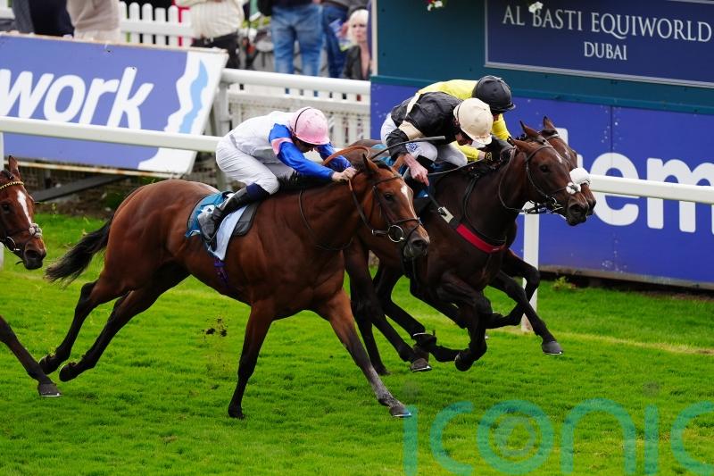 Alfa Kellenic plans currently up in the air