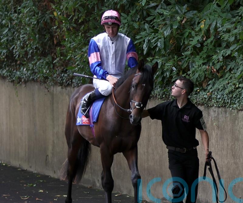 Top-level assignments on the radar for Matauri Bay