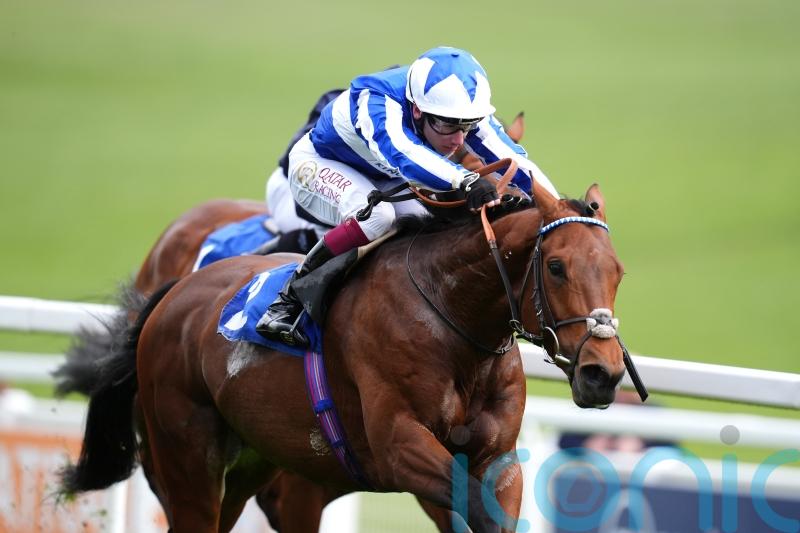 Bellum Justum to continue his international exploits