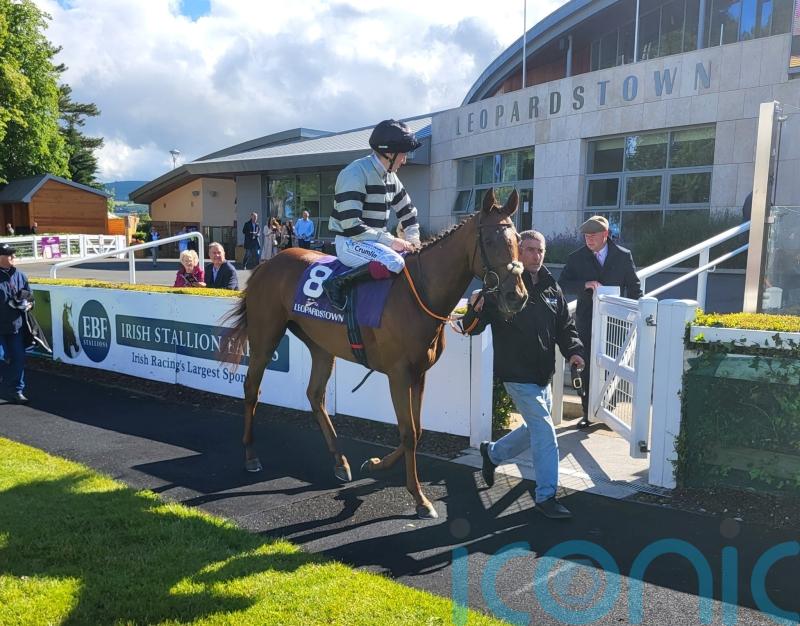 McCreery may be double-handed in search for second Matron win