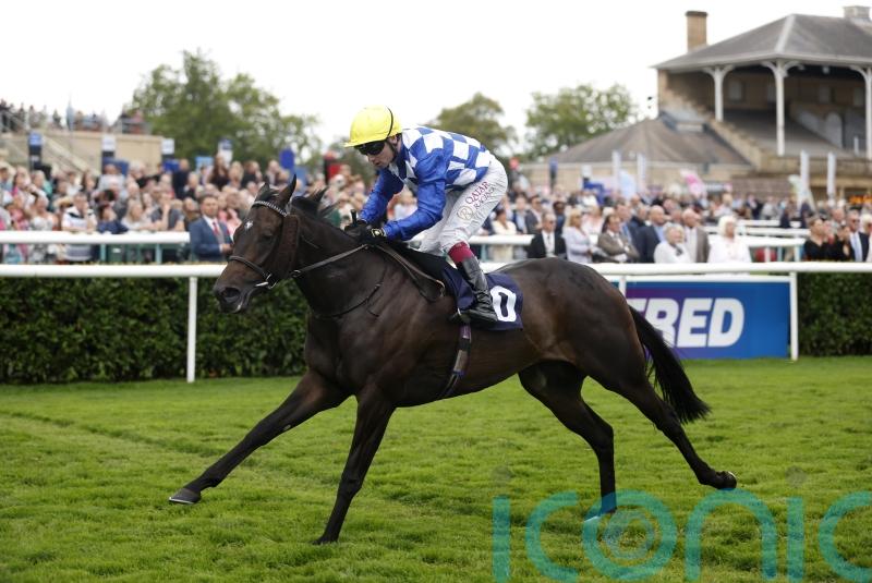 Sceptre defence top of Cotter&rsquo;s agenda for Matilda Picotte