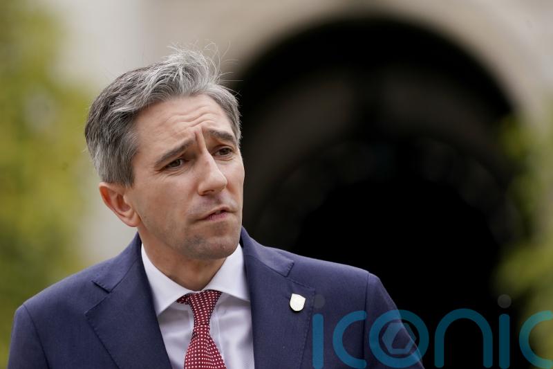 Asylum seekers with jobs should pay towards accommodation, Harris says