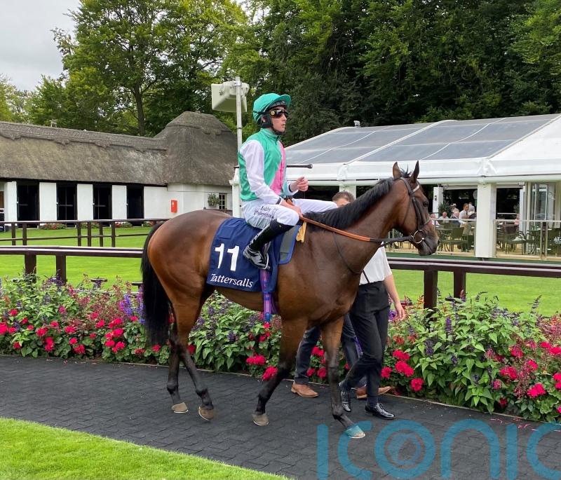 &lsquo;Smart filly&rsquo; Tabiti on target for tougher Salisbury test