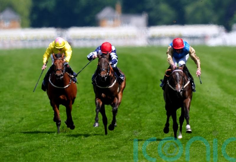 Cheveley Park bid not out of the question for Maw Lam