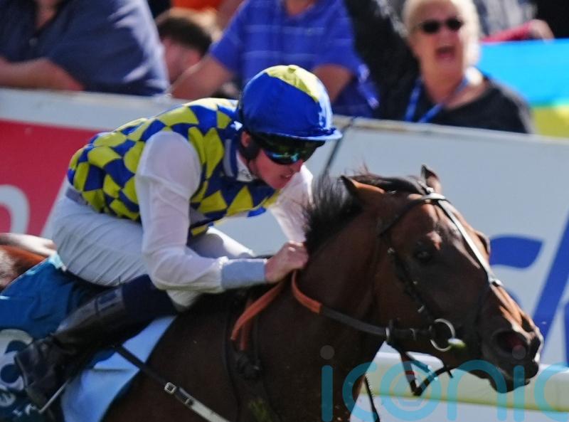 John Ryan considering Abbaye tilt for La Bellota