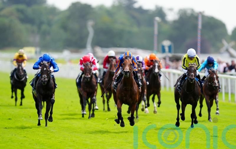Wimbledon Hawkeye has the Royal Lodge in his sights at Newmarket