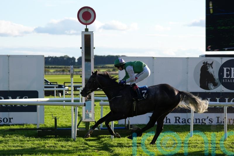 This Songisforyou looking to top Cambridgeshire charts