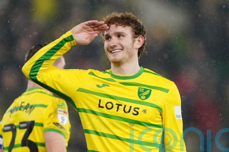 Norwich hit Hull for four in impressive display