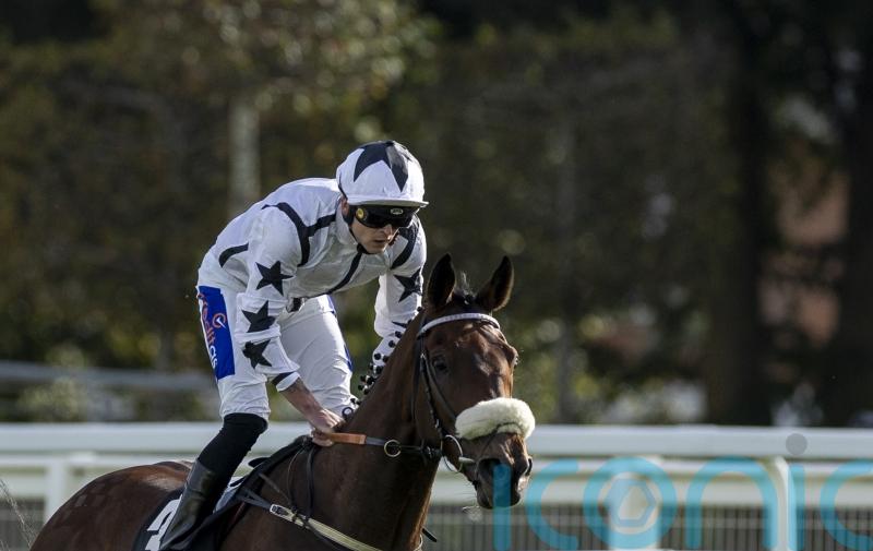 Al Qareem proves back-to-back Cumberland Lodge hero