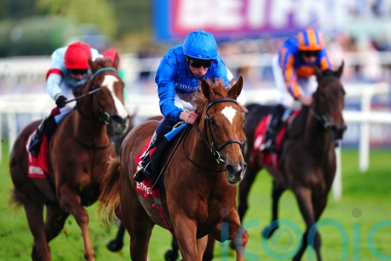 Exciting fillies primed for top-class showdown at Newmarket