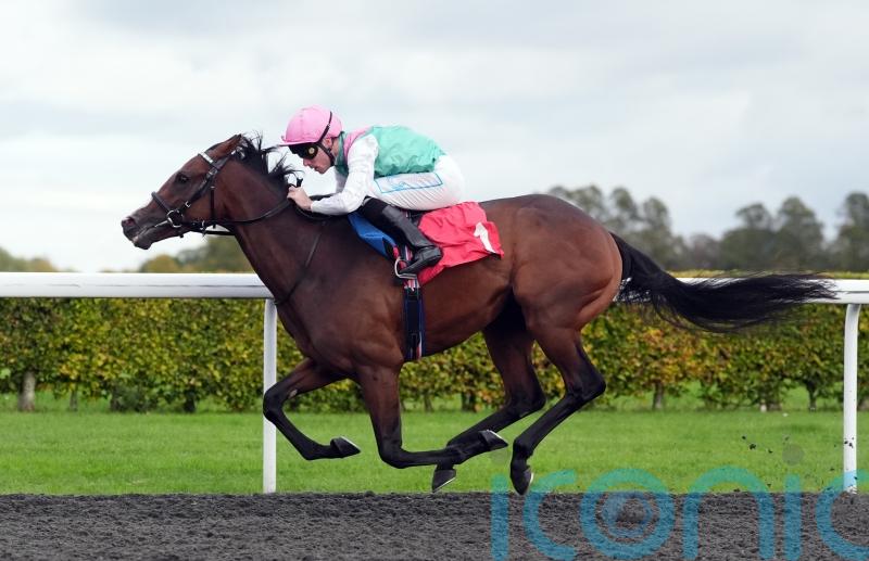 Detain&rsquo;s dominance puts him into Futurity Trophy equation